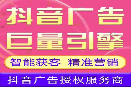 抖音信息流广告的投放策略与成功案例分析